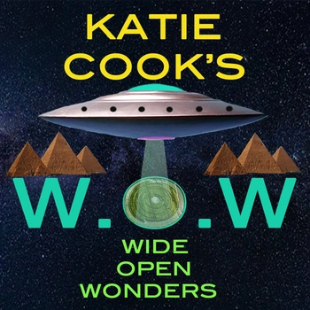 Katie Cook's Podcast