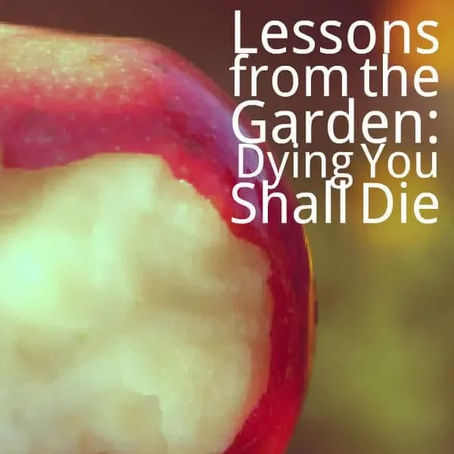 ‘You Shall Surely Die’?Unmasking the Many Faces of Death - Mitch Chase