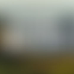 "You will have Treasure in Heaven" Gospel of Mark: Commands of Jesus.