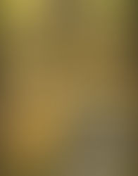 "The Shift from Church Mercy Ministry to Government Programs: Implications for American Churches"