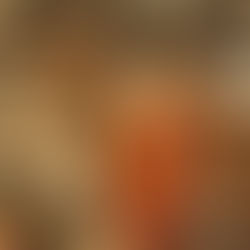 Philosophy Conundrums of Our World Today