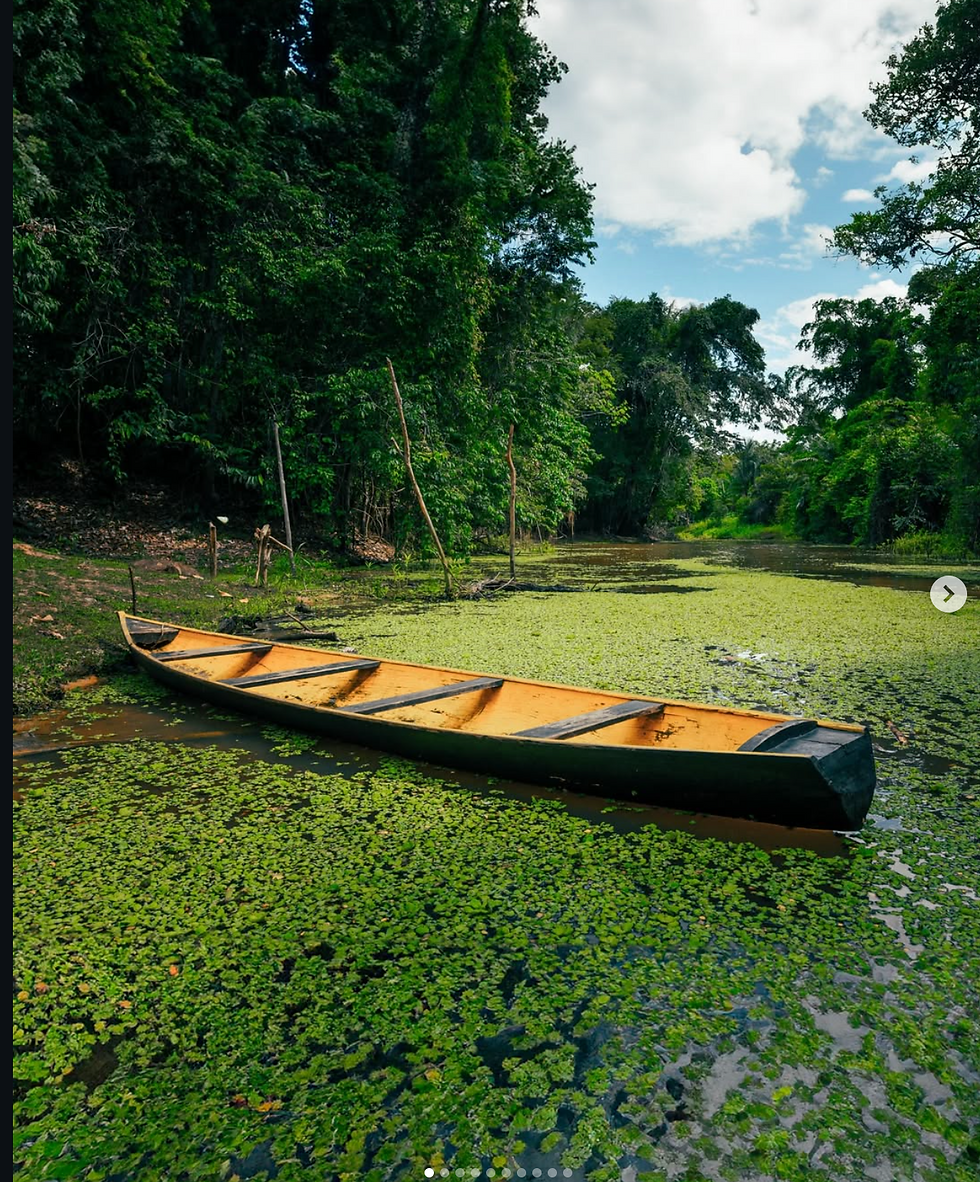 Rio Croa: o paraíso de águas escuras pertinho de Cruzeiro do Sul