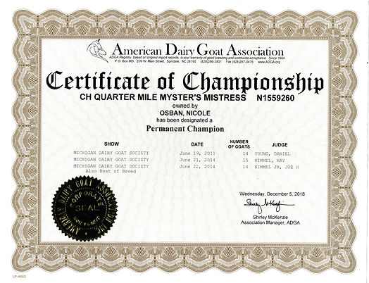 CH Quarter Mile Myster's Mistress's Certificate of Championship