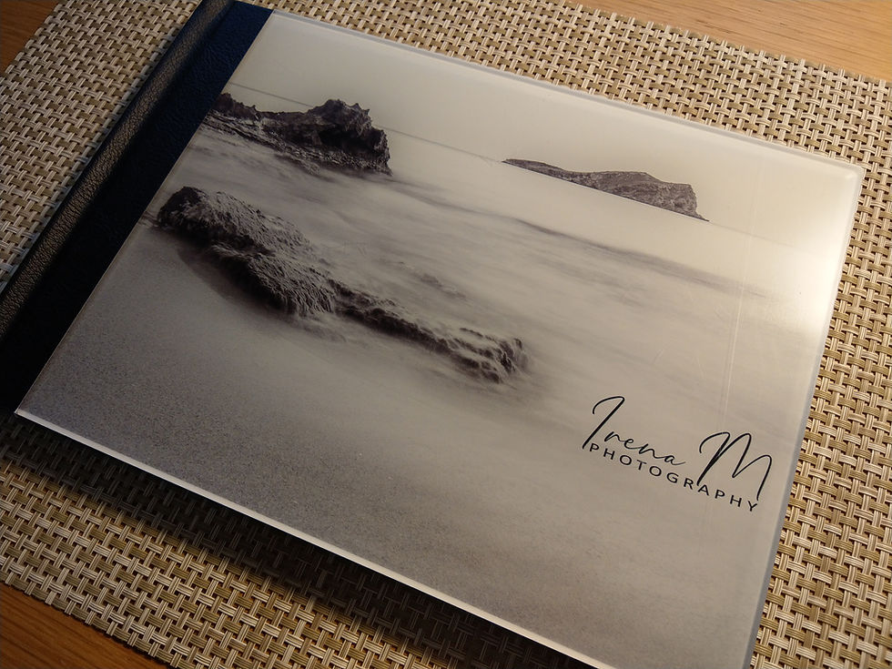 Recently received high quality art photo-book