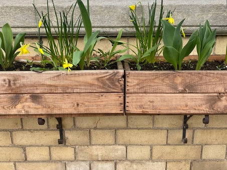 SPRING HAS FINALLY SPRUNG 