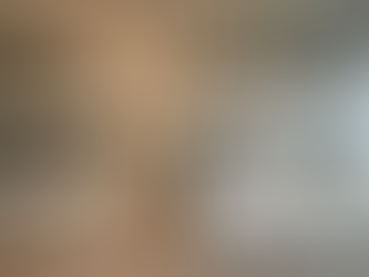 Where to Order Custom Bunk Beds Online in the U.S.