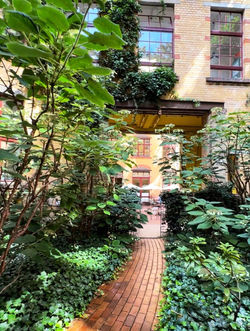 Дворики Берлина