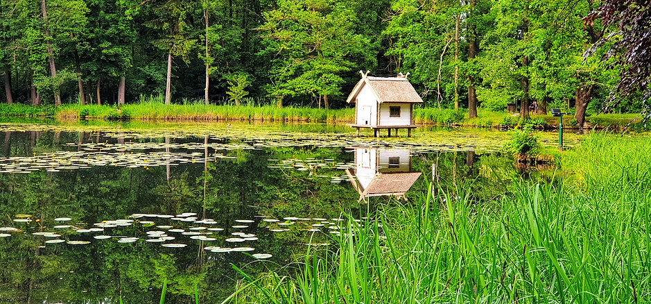 Экскурсия в Шпреевальд из Берлина, венец