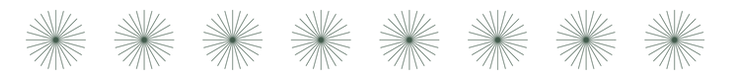 Senza_Web_Pattern_Burst.png