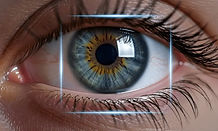 Captura de tela_26-1-2026_94017_png.pngtree.com.jpeg