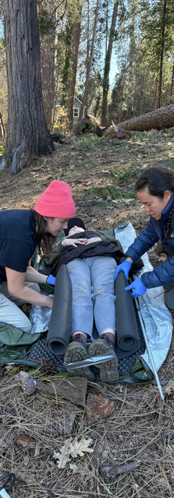 Students performing a wilderness patient assessment during a field training scenario.