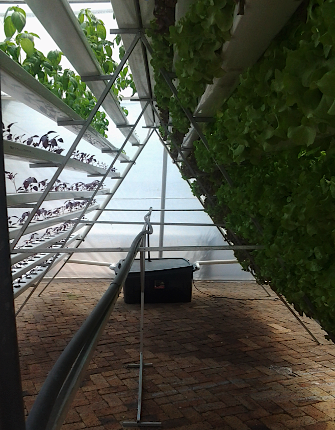 Vertical Farming_2