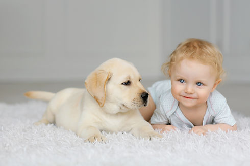 AdobeStock_201377132.jpeg