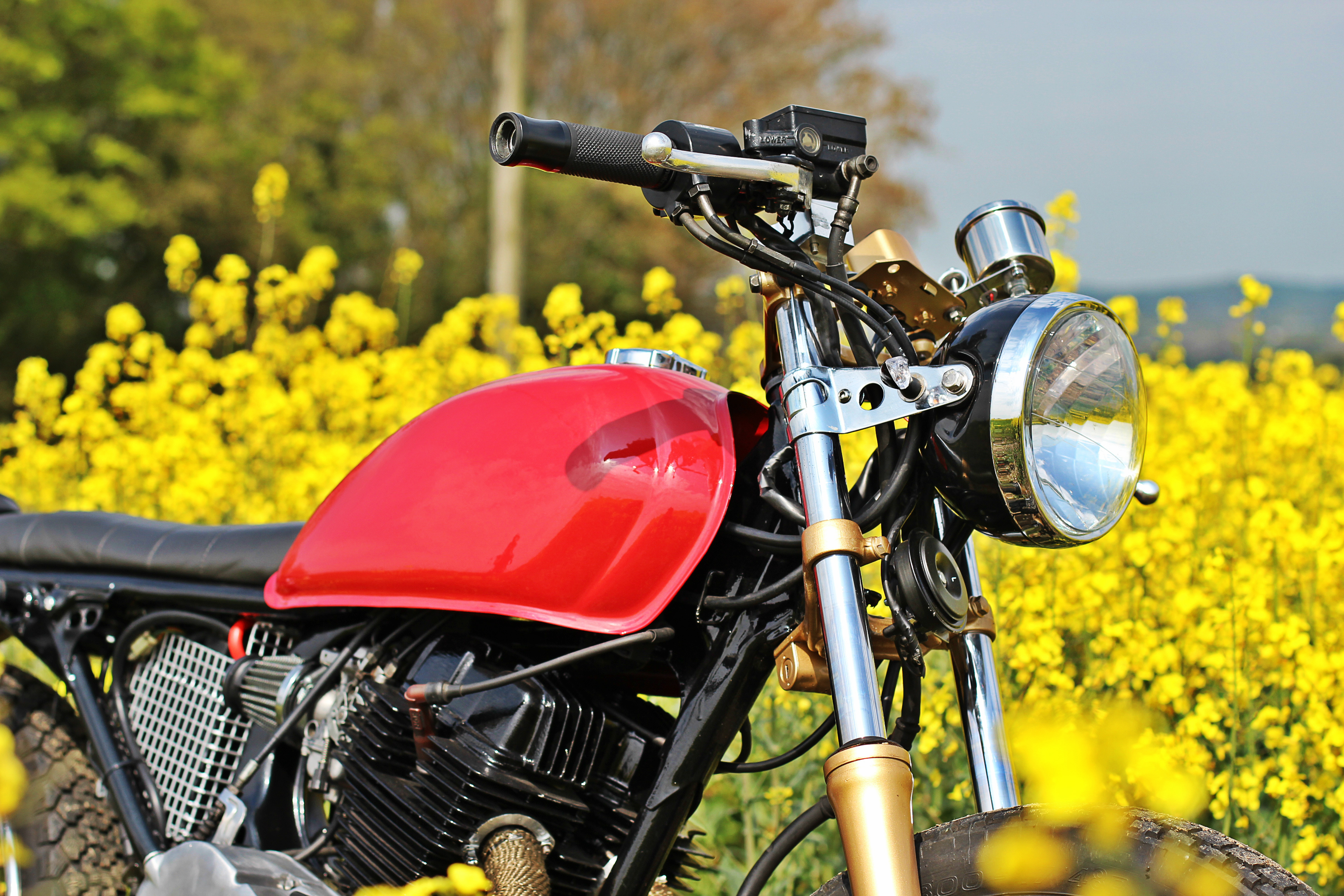 'Devil' Honda CD250cc | TwinThing-2020