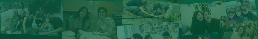 Student Background