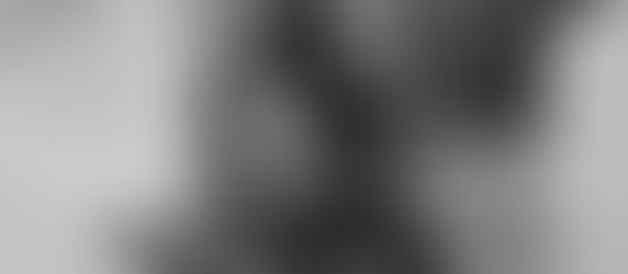 THE DEFINITION OF BEAUTY