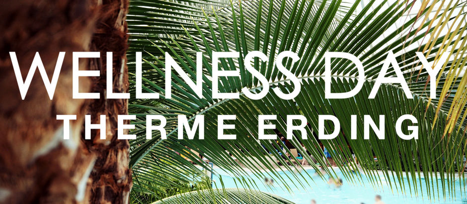 WELLNESS DAY - THERME ERDING