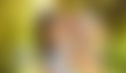Bakırköy Botanik Parka Nasıl Gidilir?