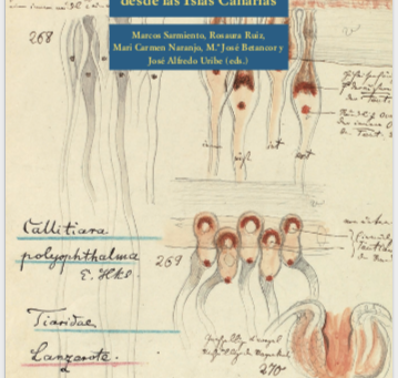 Capítulo de libro