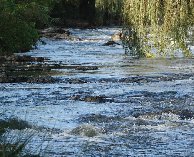 Hennops River