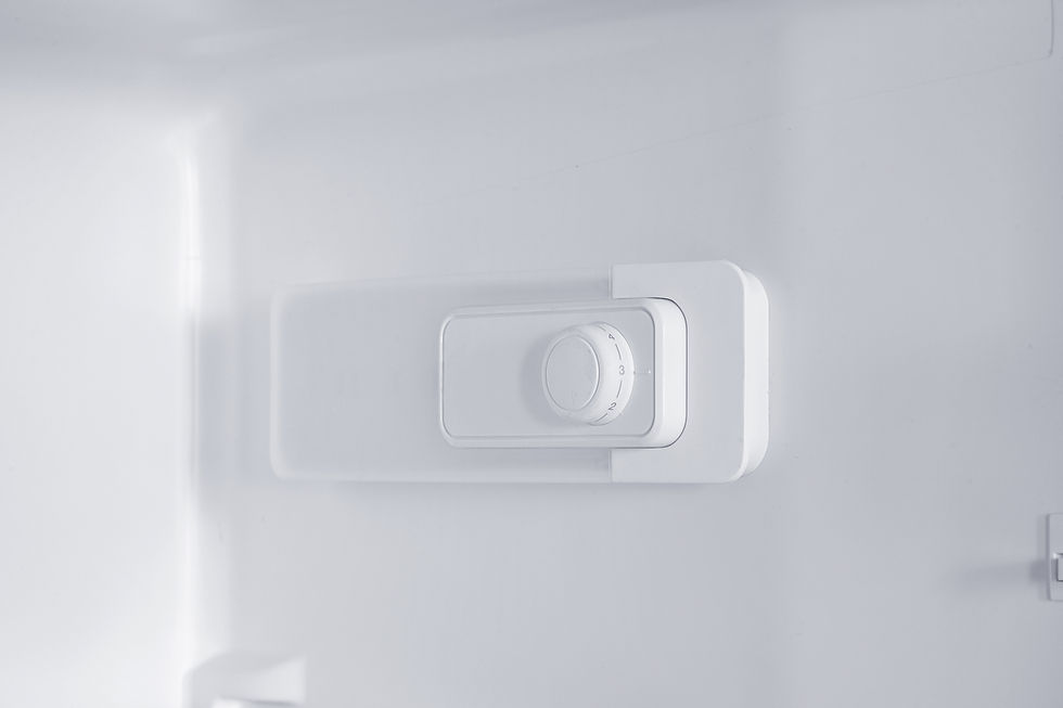 Прев'ю: Холодильник RTS 1421 MС