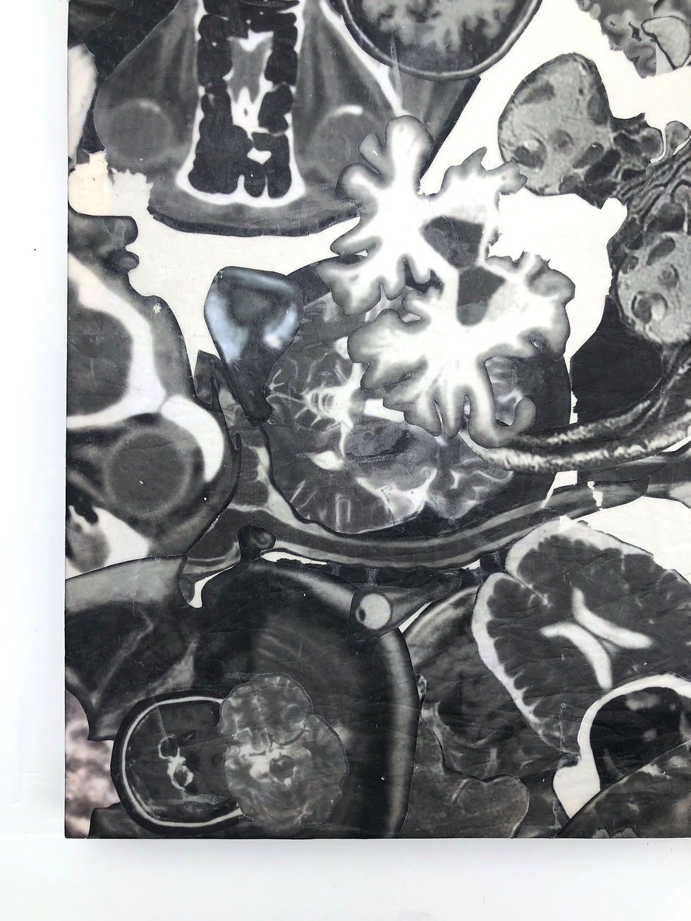 Thumbnail: Observed XXVII