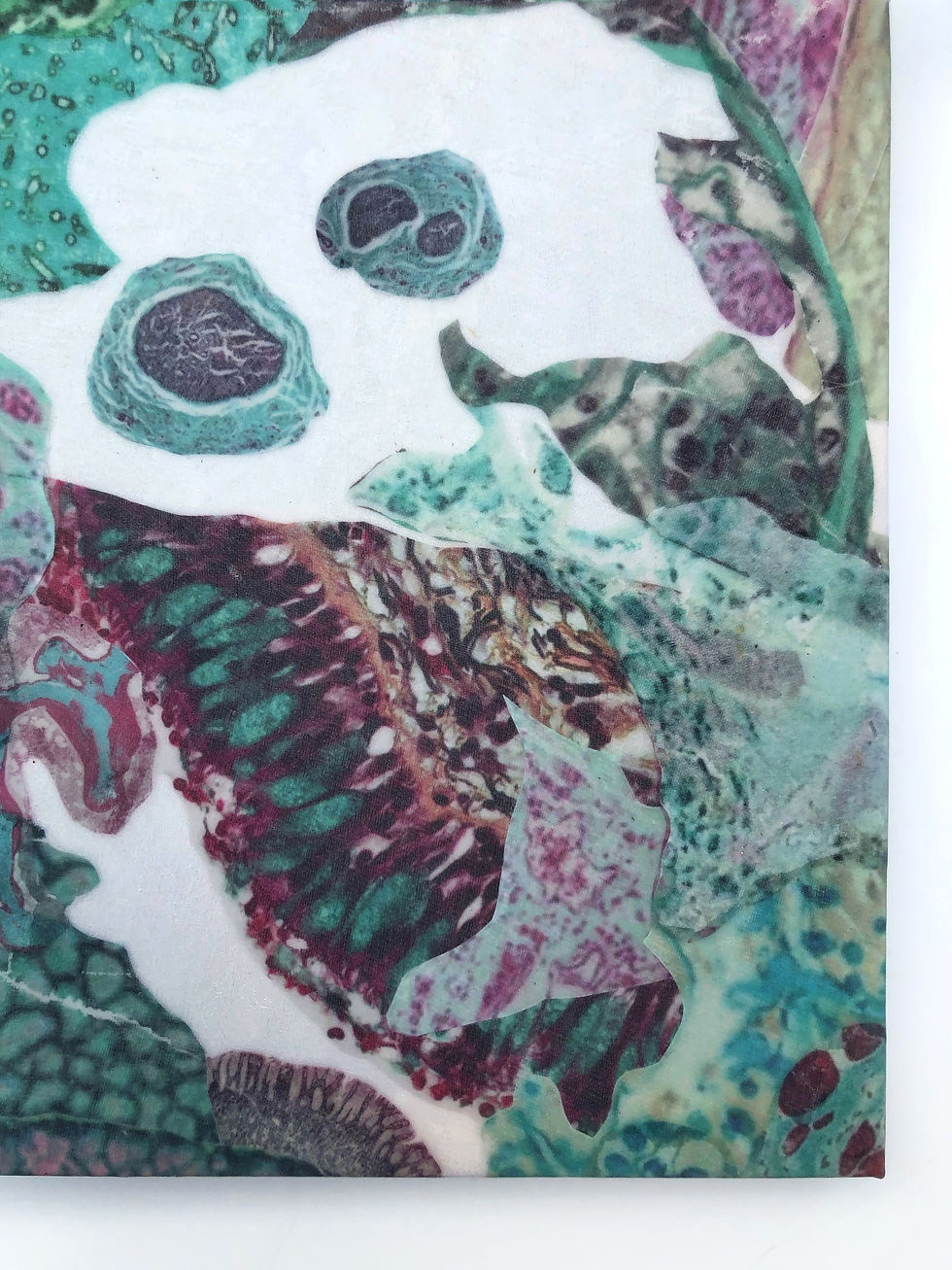 Thumbnail: Observed Tissue IX