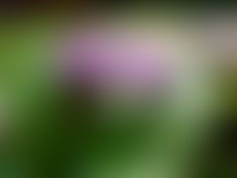 The beauty of intimate relationships