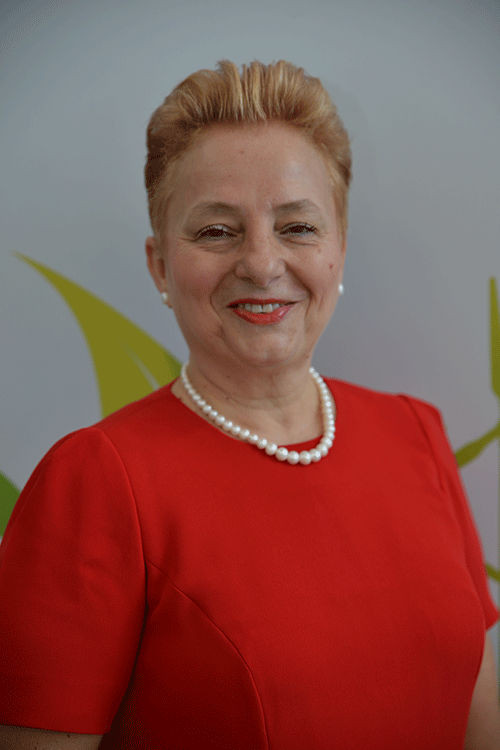 Prof. Dr. Filiz Karaosmanoğlu- İTÜ Öğretim Üyesi Prof. Dr. Filiz Karaosmanoğlu- İTÜ Öğretim Üyesi