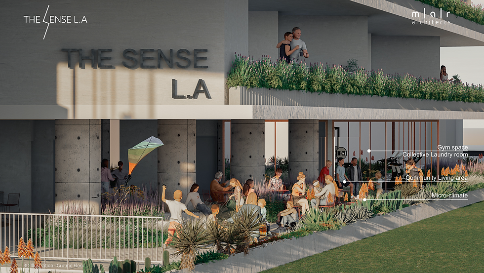 The Sense L (5).png