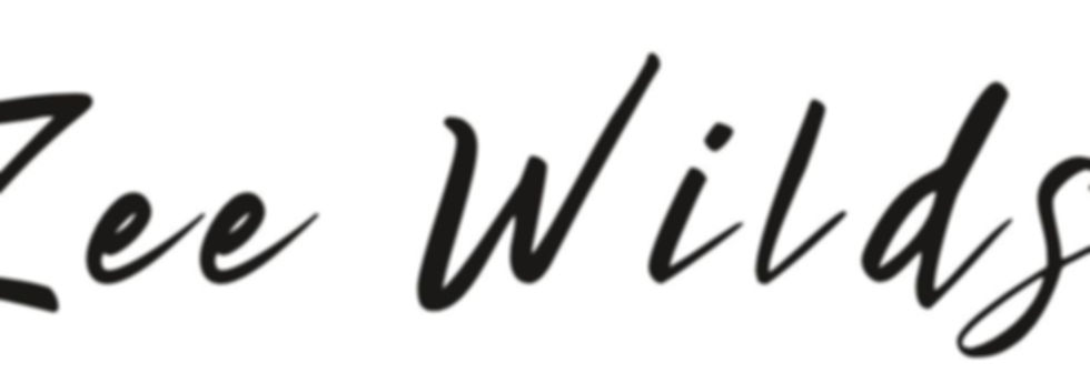 Zee Wilds Natural Hair Suite.jpg