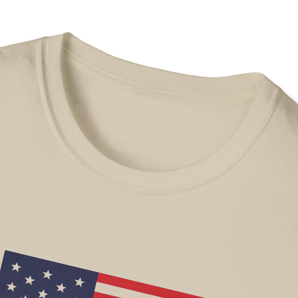 Thumbnail: Team USA Olympic Flag T-Shirt — American Pride Sports Tee