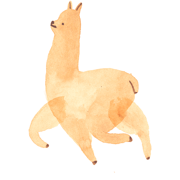 B01C.gif
