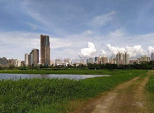 C2626.jpg
