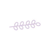 TOF_Cordial_Icons-07.png