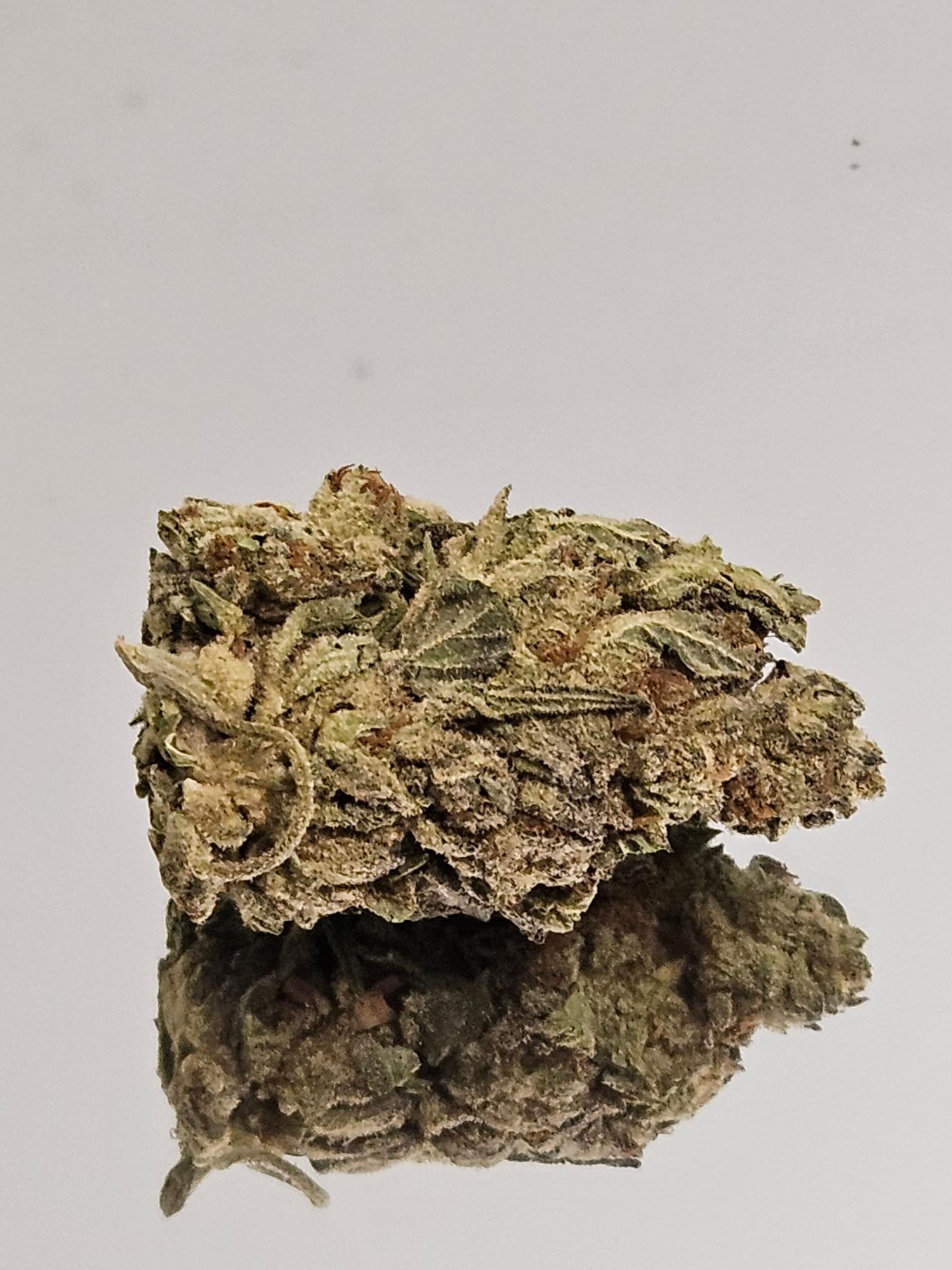 Shelf #3 AA Biscotti Indica 24%