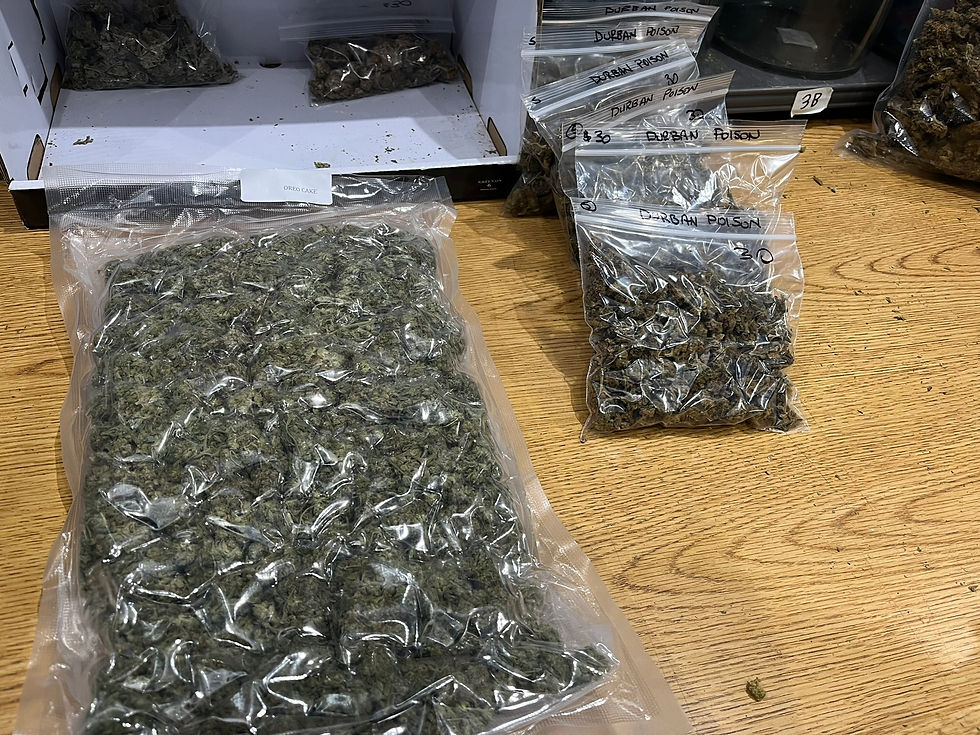 $30 Ounce Cannabis Deal in Six Nations