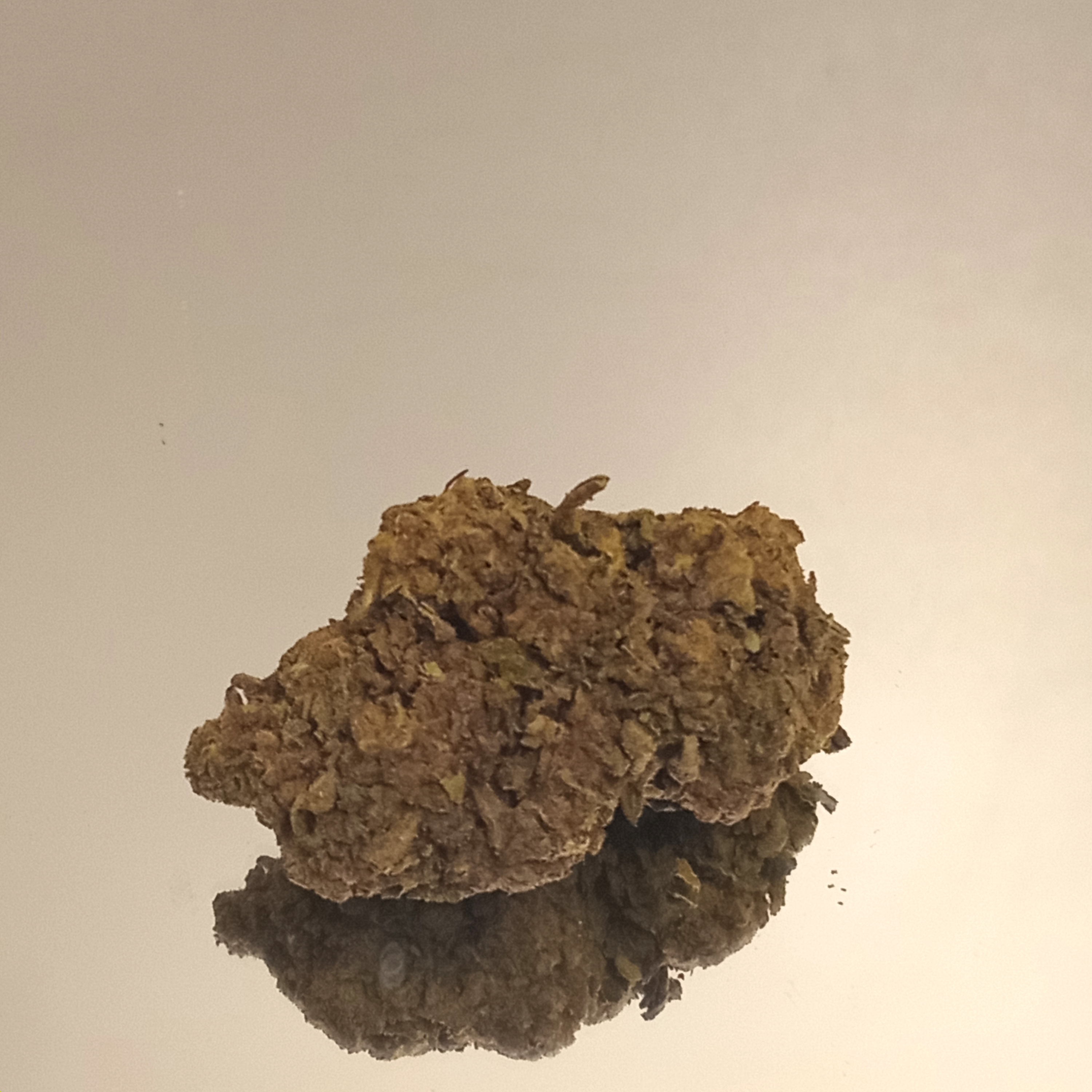 High on a Hill Dispensary "Where budz meet"...'s version