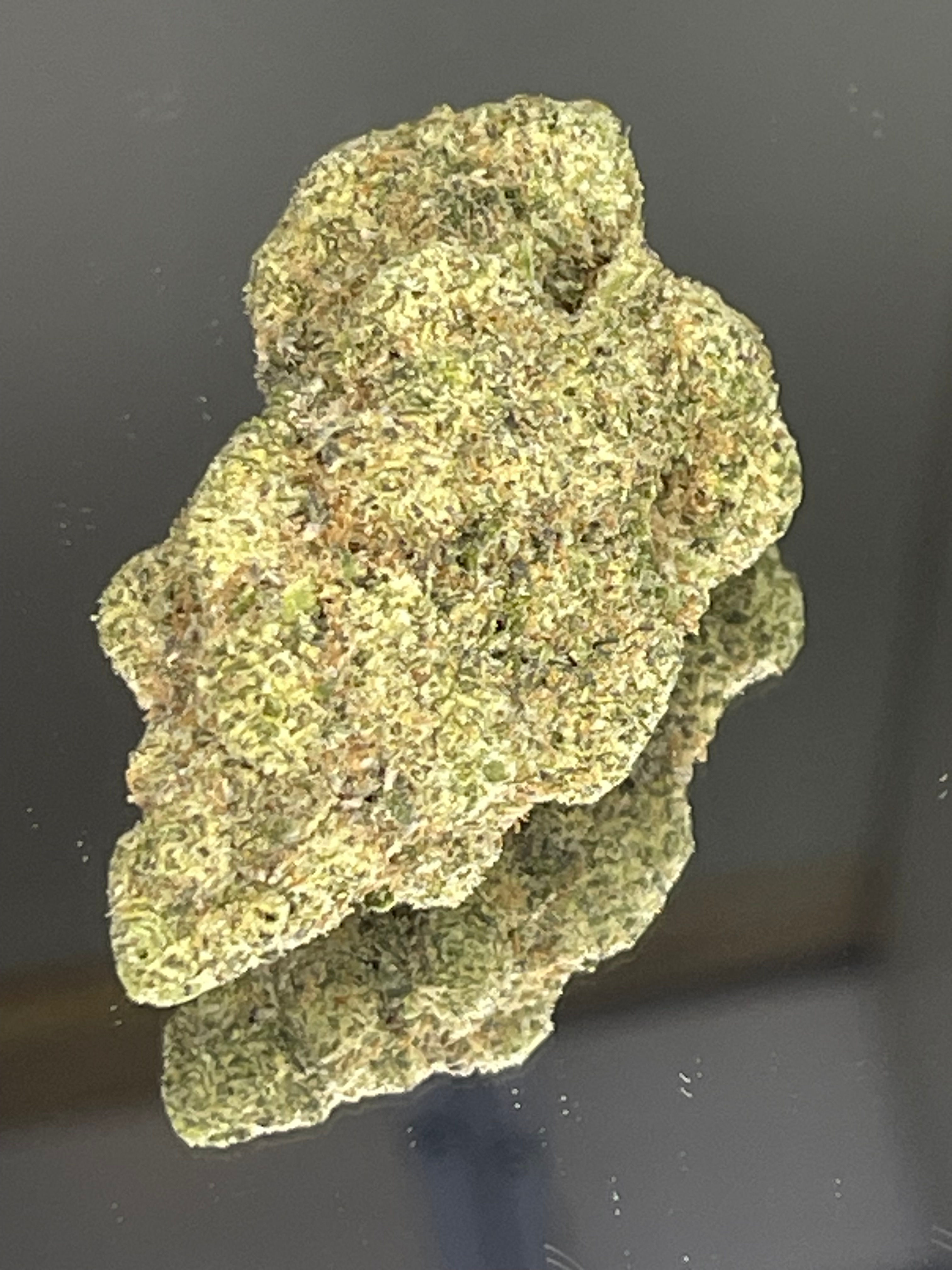 Blue Nerds hybrid cannabis flower with dense frosty buds – High On A Hill Six Nations Ontario