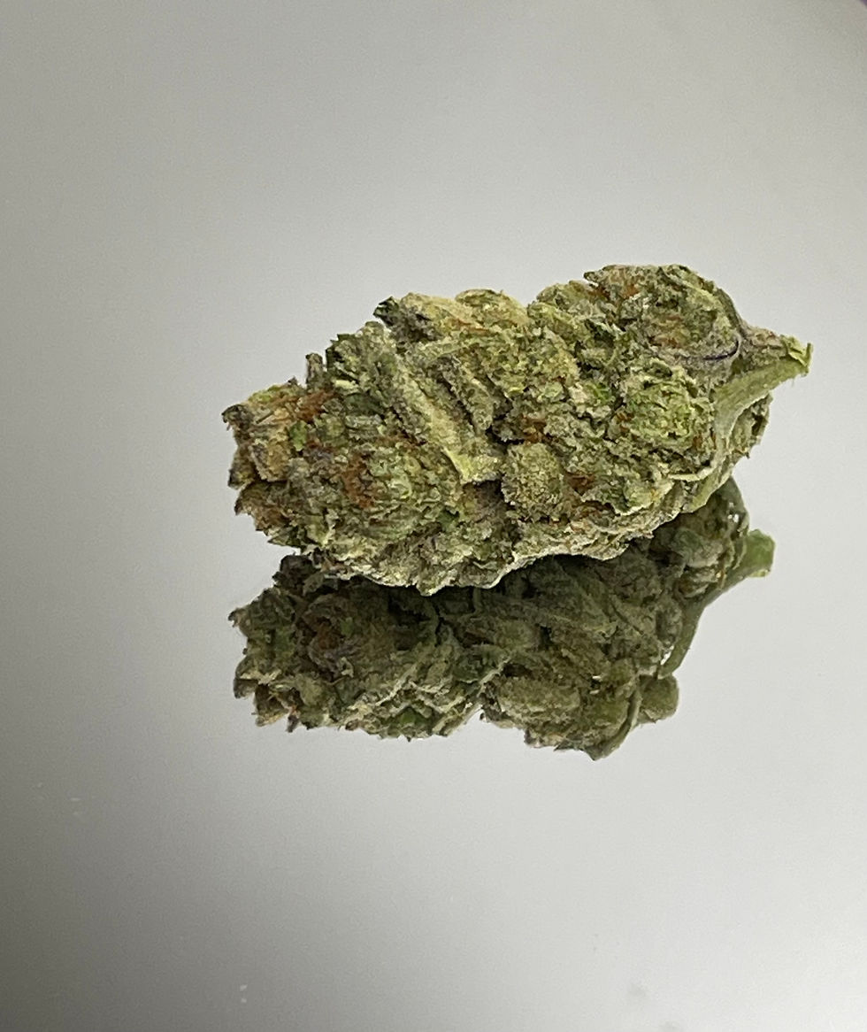 Girl Scout Cookies (GSC) indica cannabis flower – 24.6% THC | High On A Hill