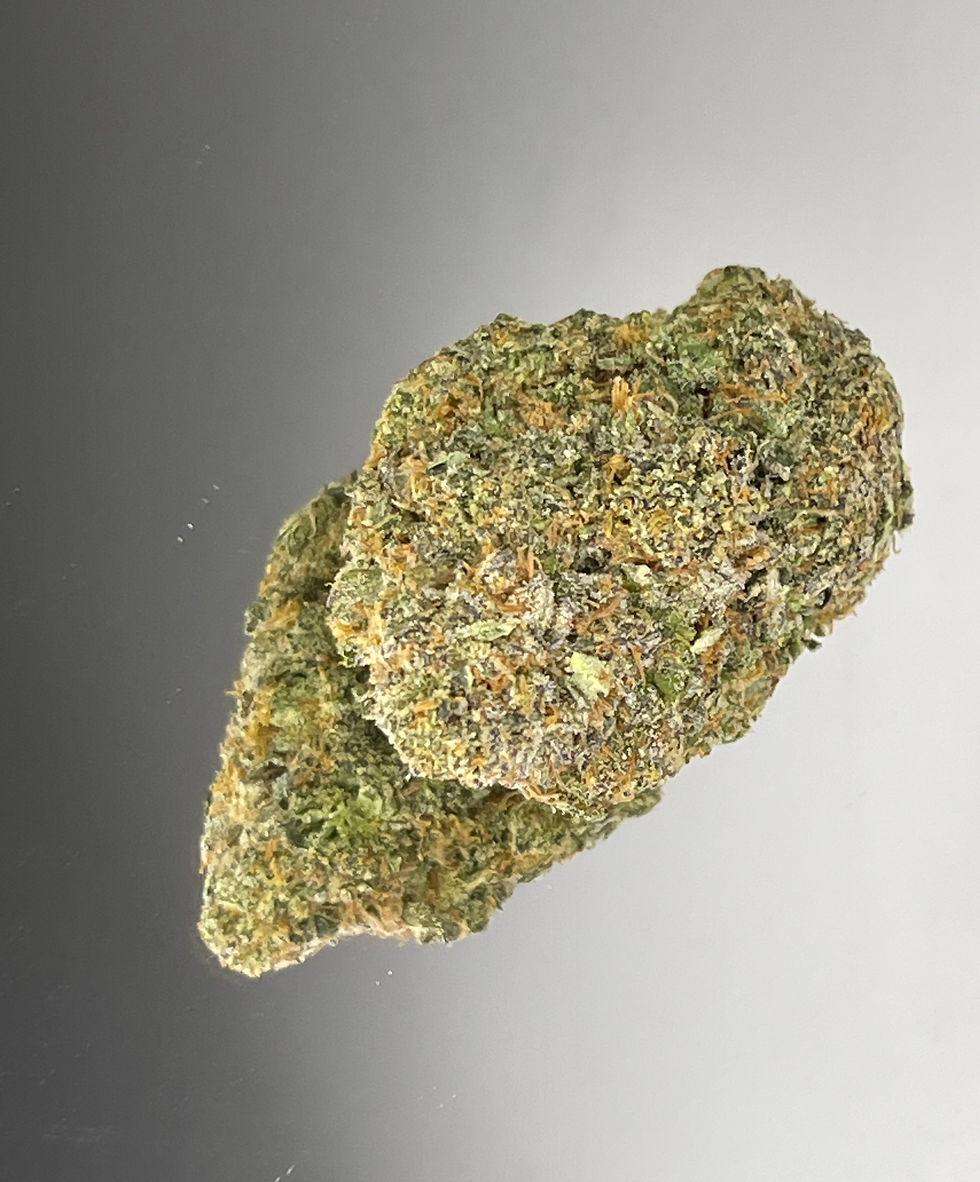 Cherry Bomb 25% sativa at High on a Hill