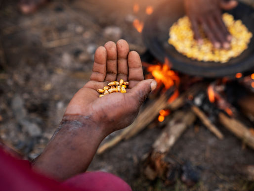 India ranks 105th in Global Hunger Index 2024, labelled as 'serious'