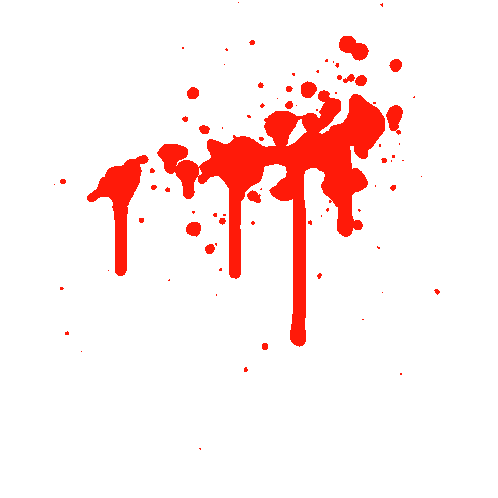 ezgif.com-gif-maker (2).gif
