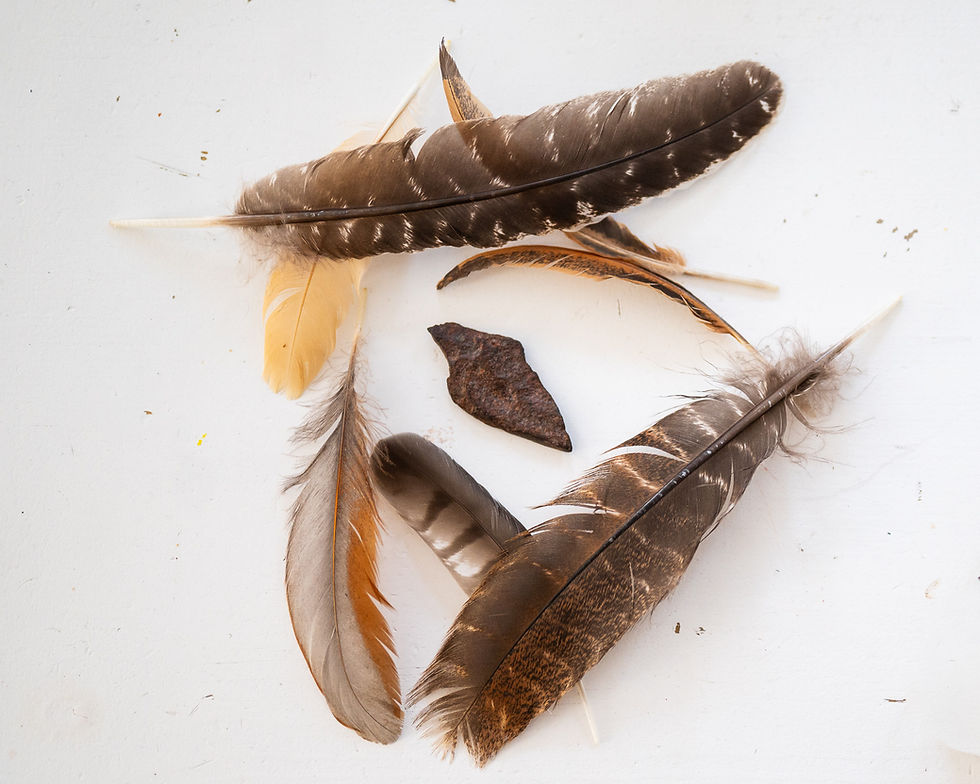 Spiritual Feathers