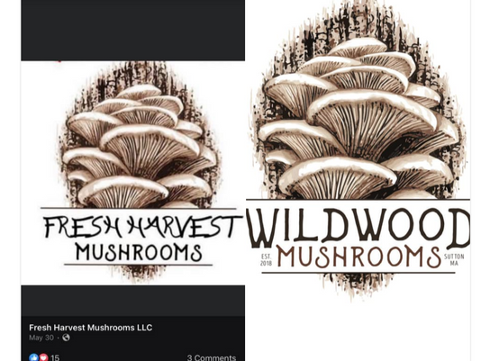 How to protect your logo and why it matters