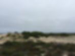 Cape Cod National Seashore