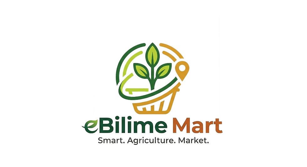 ebilime logo2.png