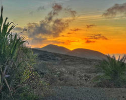 Dragon Eco-Finca