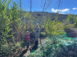 Dragon Eco-Finca