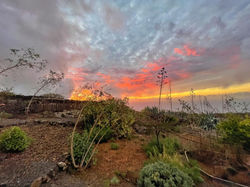 Dragon Eco-Finca